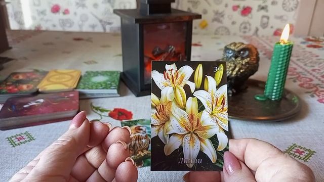 Карта дня на 19 мая