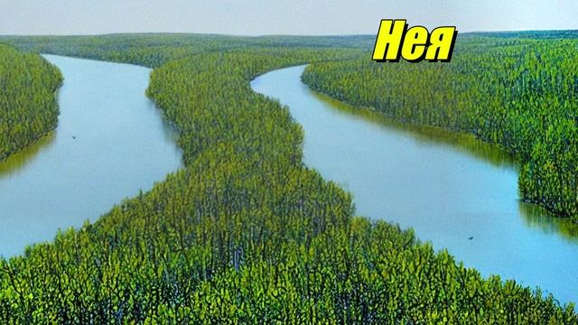 Нея — река в Костромской области