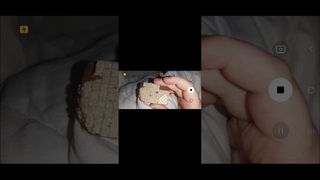 Короче меня убила девочка- Wendy's
