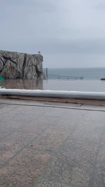 Крымский дождь ☔️