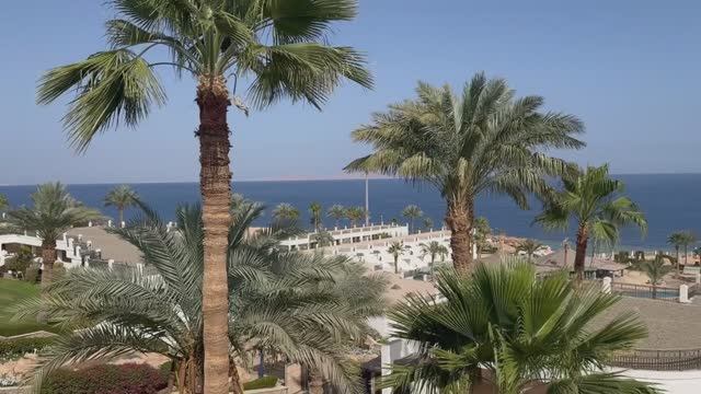 территория Safir Sharm Waterfalls Resort Сафир Шарм Вотерфолс Резорт Hadaba Шарм-эль-Шейх Египет