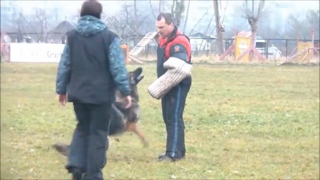 Крис защита фильм