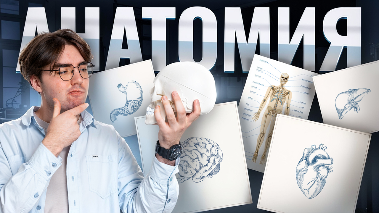 Вся АНАТОМИЯ для ОГЭ по биологии 2025 | Умскул