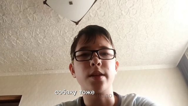 Обзор на смешную собаку.