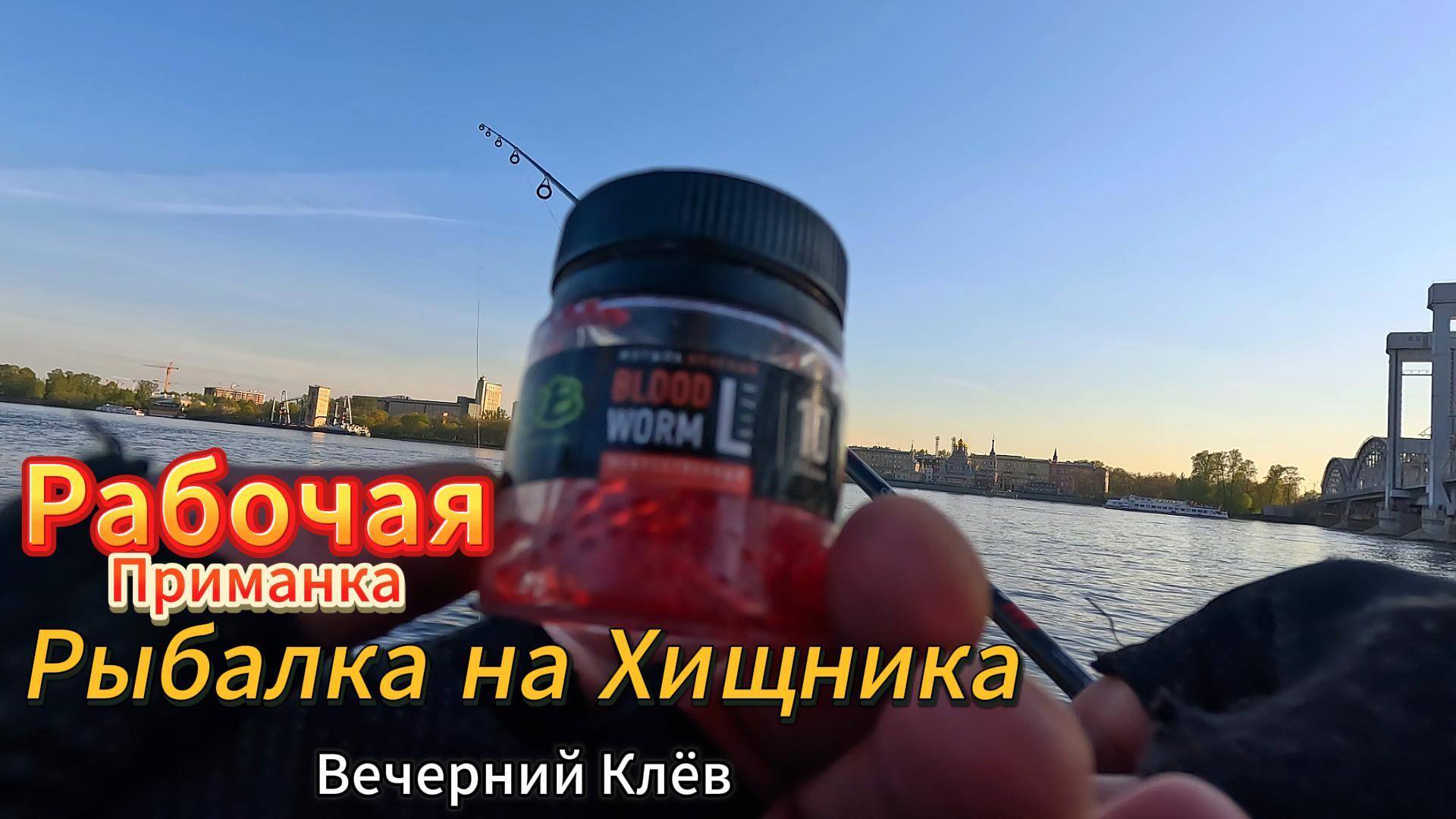 ВЕЧЕРНЯЯ РЫБАЛКА НА ХИЩНИКА РЕКА НЕВА КЛЕВАЛО НА СИЛИКОН ВИБРОХВОСТЫ МОТЫЛИ ОПАРЫШ СНАСТЬ ДРОПШОТ