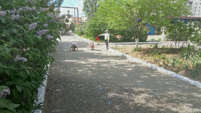 Всероссийская заочная акция "О,спорт ты - мир!