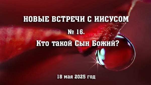 16 встреча с Иисусом. Кто такой Сын Божий? (18 мая 2025 год)