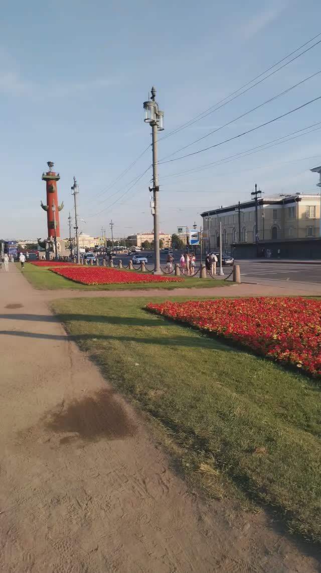 На стрелке Васильевского острова, Петербург. 25 июля 2024. Видео №2.