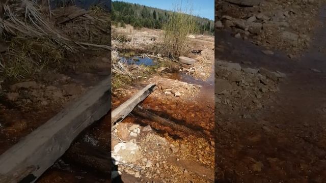 VID_20250518_113453.mp4