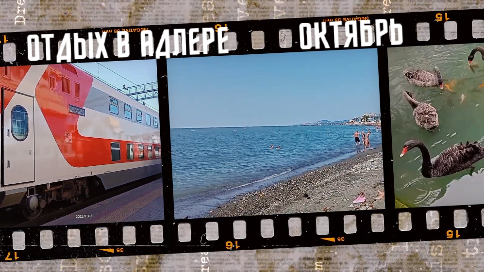 Отдых в Адлере в октябре. Стоит ли ехать к морю?