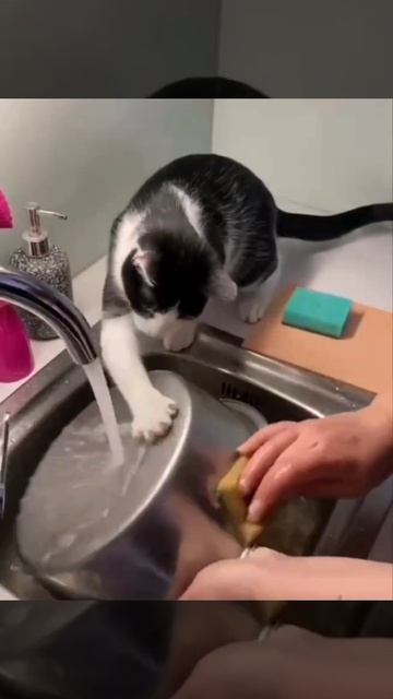 VID_20250518_030414_154.mp4