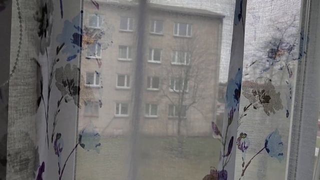 Жизнь в Эстонии.Болталка.Шуба.
