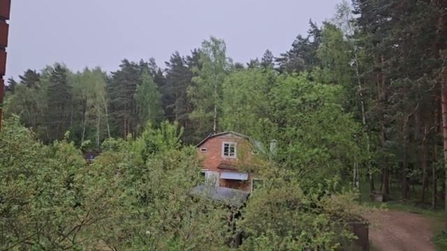 СИНДРОМ ПОЛИЦАЯ В АРМЕНИИ... ВЕДЬМИНА ИЗБА ИНГА ХОСРОЕВА