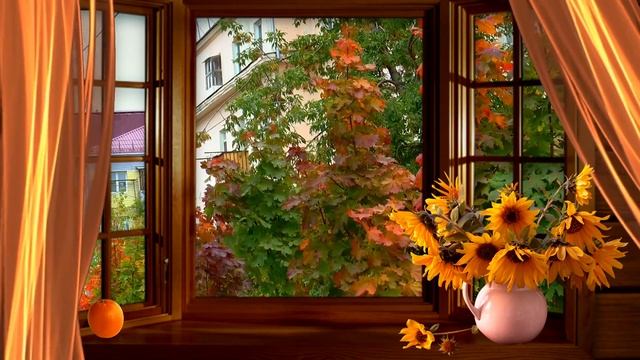 [4K] Autumn Leaves   Drone Aerial View   Free Stock Footage   Free HD Videos - No Copyright
