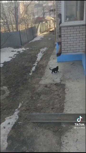 Кажется,способ вхождения в дом через окно становится популярным 👌