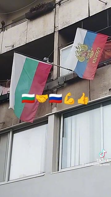 Тем временем в Болгарии