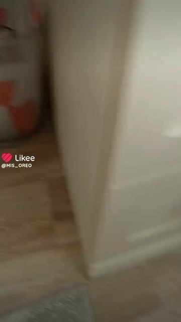 1000054152.mp4