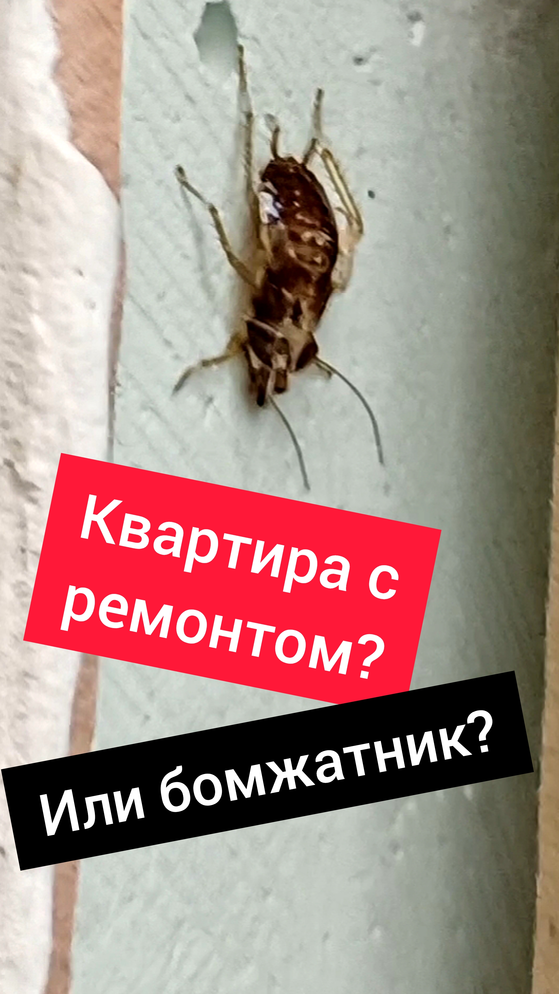Бомжатник под видом косметического ремонта! Враньё в объявлениях о продаже квартиры #недвижимость