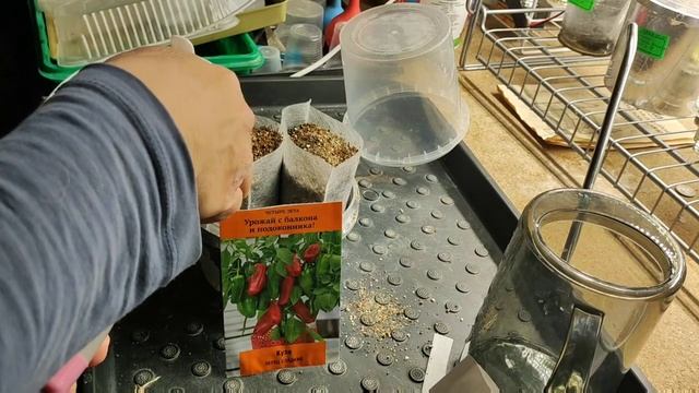 Посеяла перец сладкий Кузя от Агрофирмы Поиск.