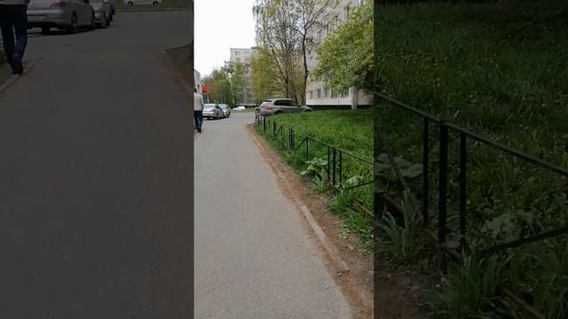 Обалденное цветение кустов сирени , яблок и вишни. А аромат
