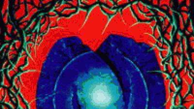 Neolithic - 1990 Avenue
