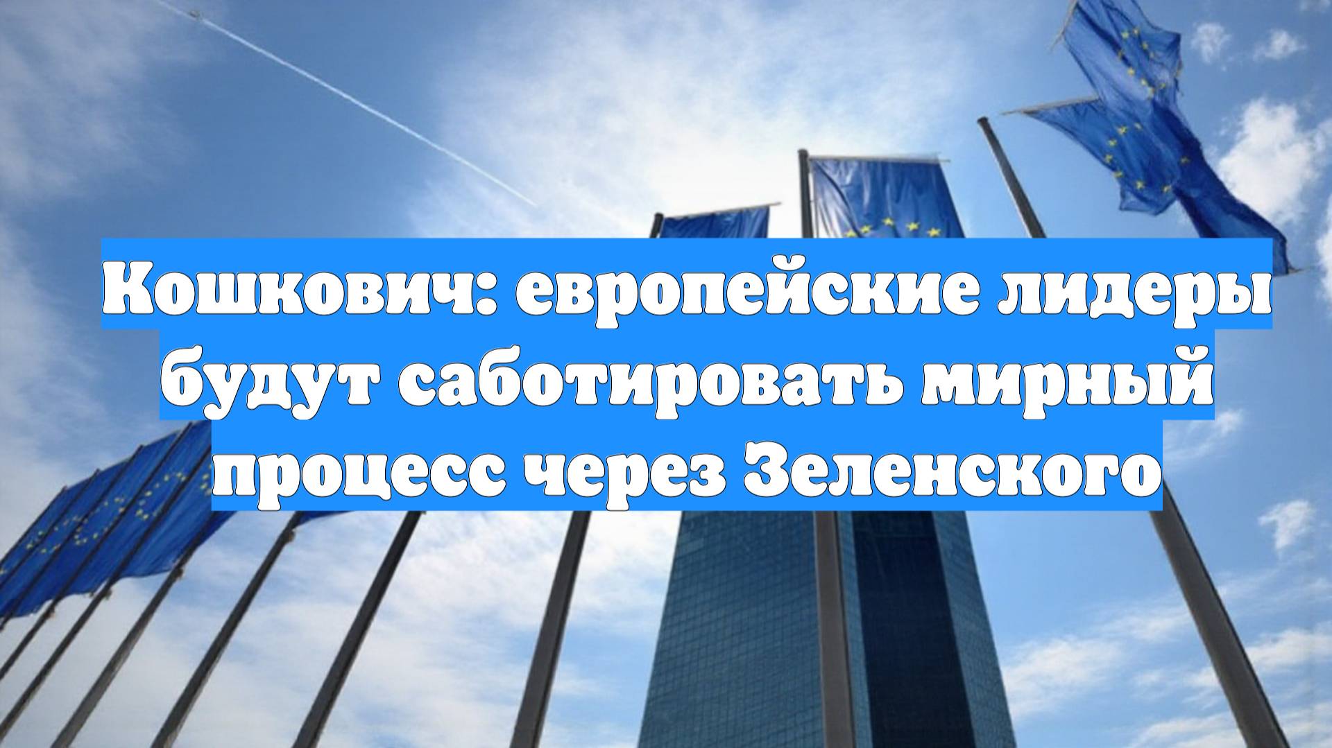 Кошкович: европейские лидеры будут саботировать мирный процесс через Зеленского