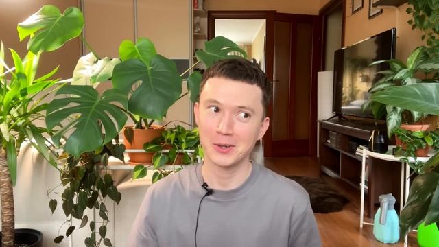 Большой разговор о комнатных растениях » Идеальный гр
