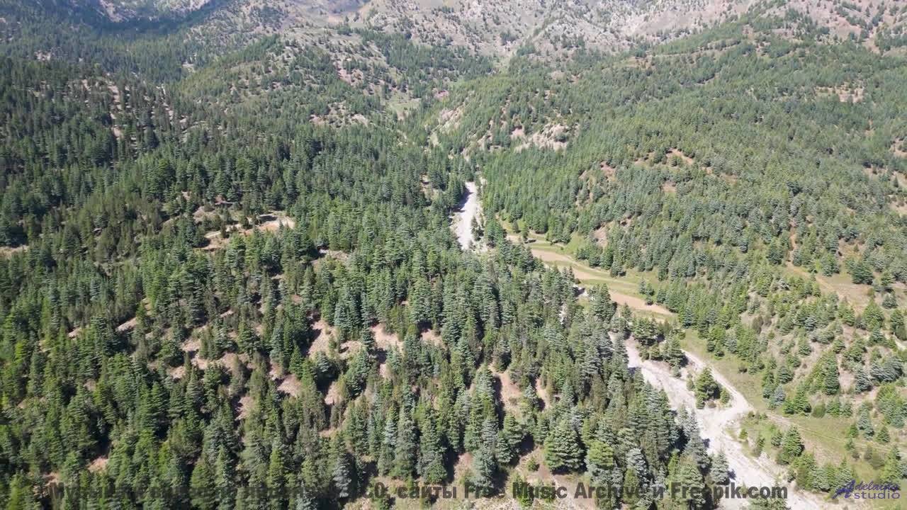 Клип, созданный квантовым компьютером - будущее наступило! - Morning Symphony -- Ketsa -- Vitality