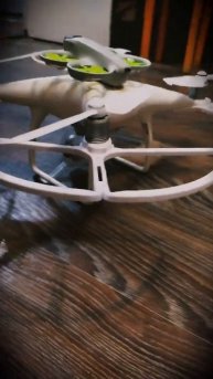 Два братишки DJi Phantom и DJi Neo #djineo #dji