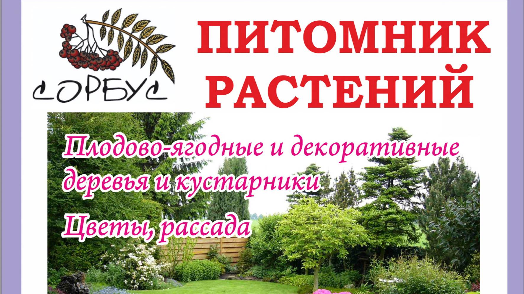 Питомник растений "СОРБУС" в Клинском районе Московской области