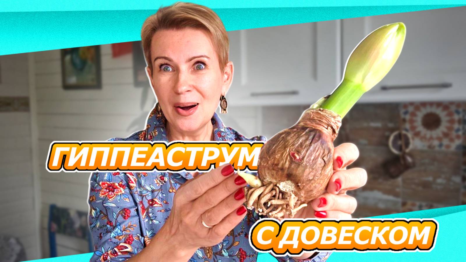 ГИППЕАСТРУМ С ДЕТКОЙ | СПАСАЮ ГИППЕАСТРУМЫ | РУКИ ИЗ ТОГО МЕСТА