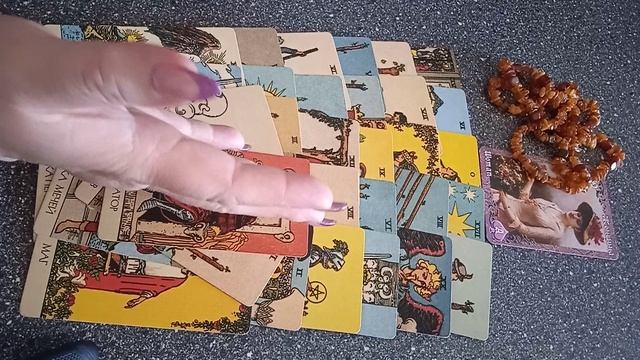 VID_20250518_155613.mp4