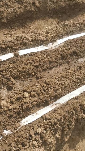 VID_20250518_113943.mp4