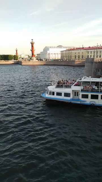 Река Нева в центре Петербурга. Вид от Биржевого моста. 25 июля 2024.
