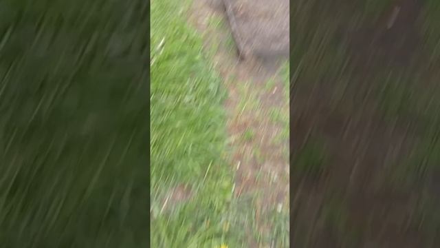 1000061092.mp4