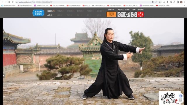 24式太极拳, Võ Đang Thái Cực 24 thức, тай-чи 24 форма Удан
