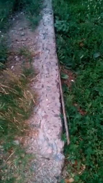Торчит арматура во дворе за домом Комсомольская, 24