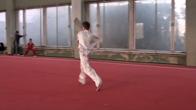 Шолохов Артем. Гунь шу, гуйдин