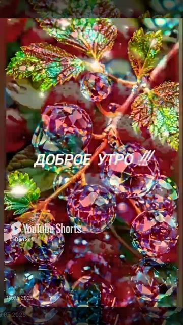 VID_20250518070214
