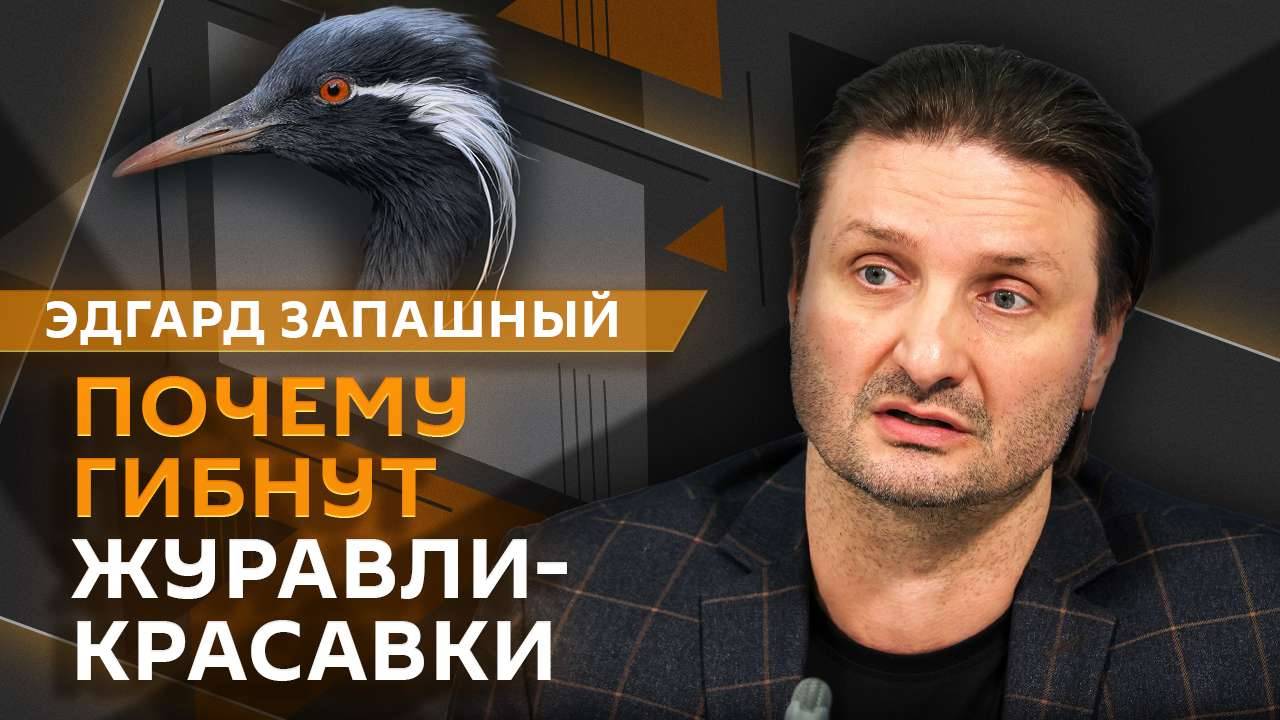 Эдгард Запашный.