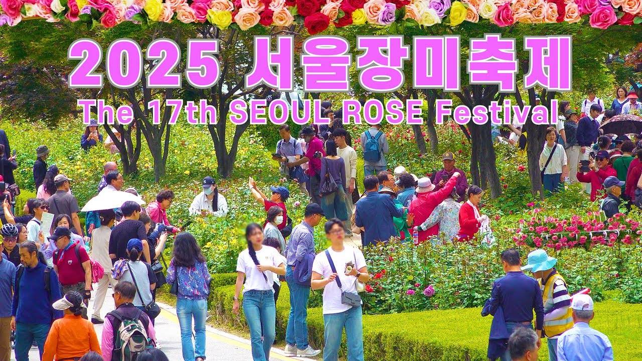 서울장미축제 2025, 역대급 행사존 펼쳐진 중랑장미공원, 5월 24일까지 서울에서 가장 아름다운 축제를 볼 수 있습니다. 서울 여행 워커