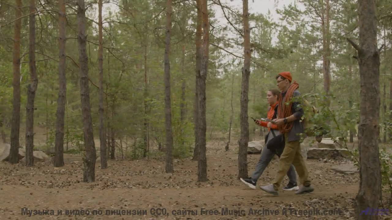 Мелодия, которая звучит как поцелуй под звёздами... - Beside the Lioness -- One Man Book -- Ghosts +
