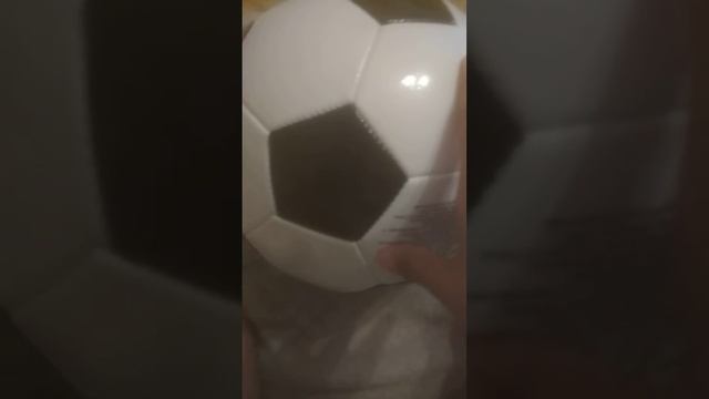 у меня появился футбольный мяч Ариша сталкер 😂