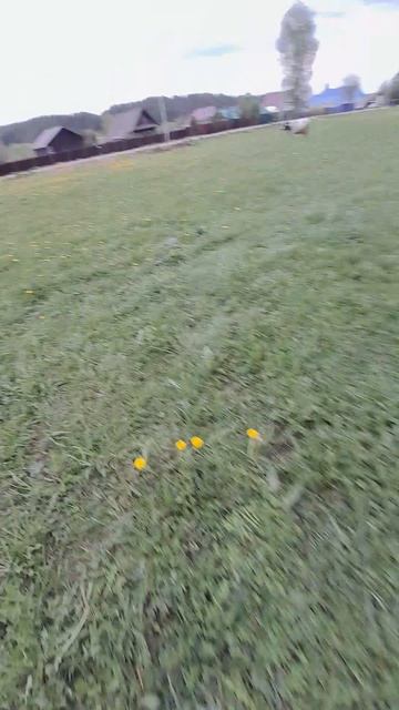 Военкомат ( 2 серия)