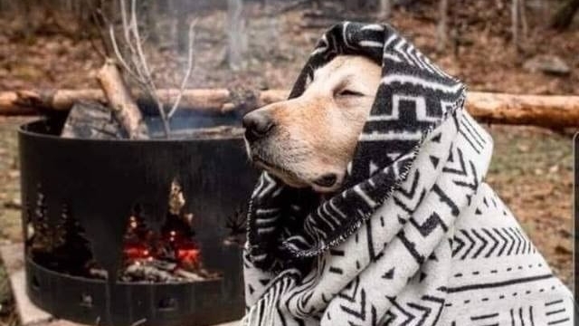 Милый агрессор