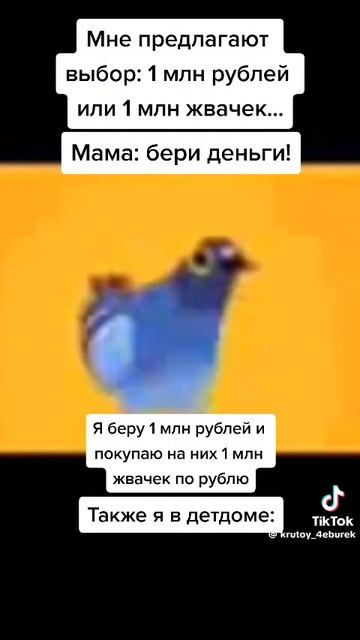 1000002329.mp4