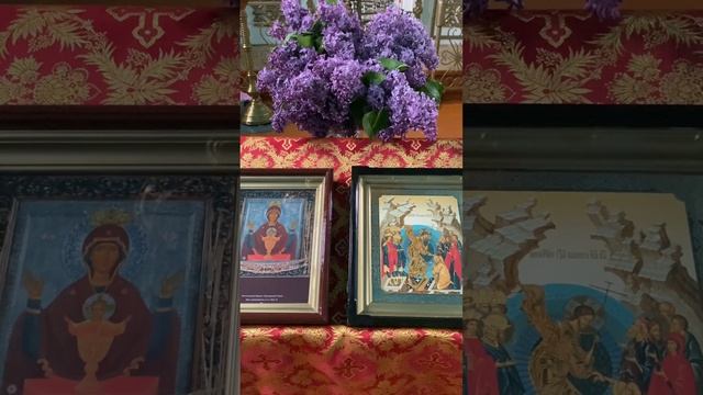 🌺🌿Пресвятая Богородица спаси нас🌿🌺