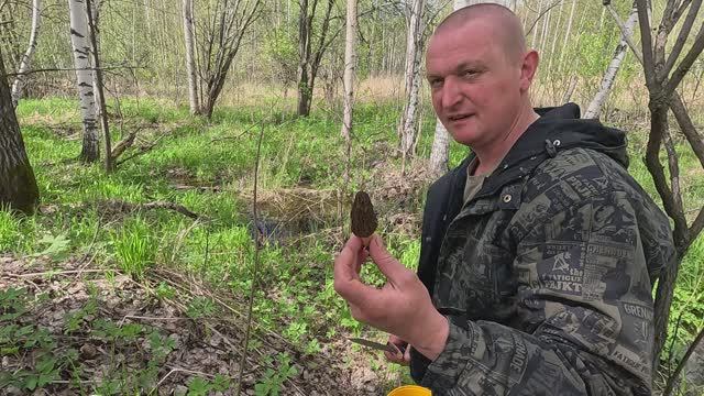 ЗА СМОРЧКАМИ 17.05.2025