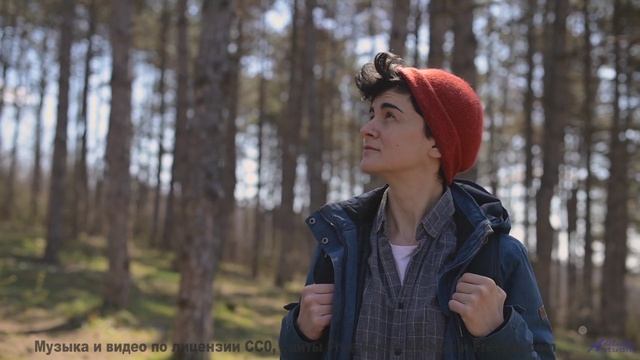 Музыка, которая превращает зиму в волшебство! - Make A Wish -- Scott Holmes Music -- Inspiring Backg