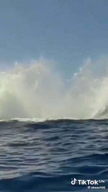 Привет от моря